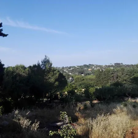 Trullo Di Talos * Selva Di Fasano